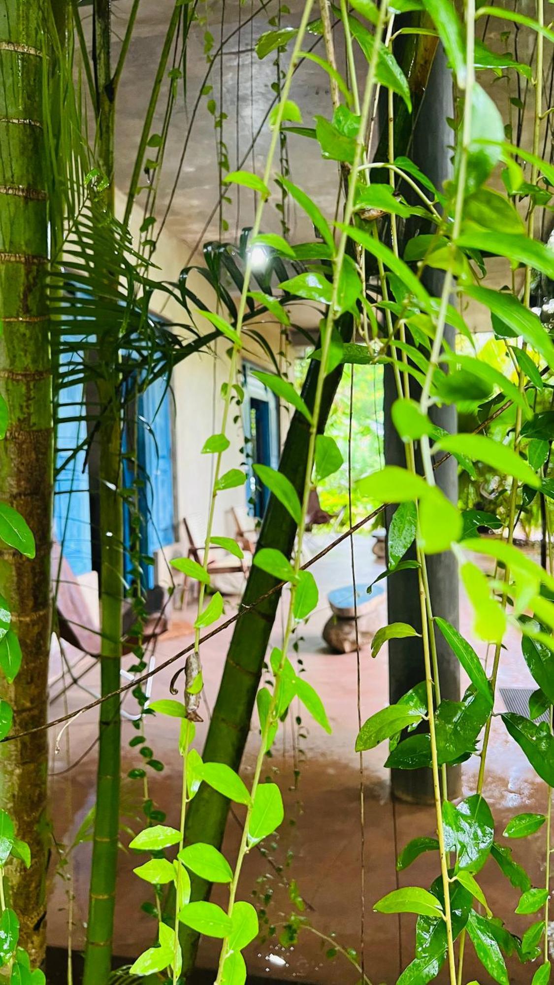 Kataragama Homestay Eksteriør billede