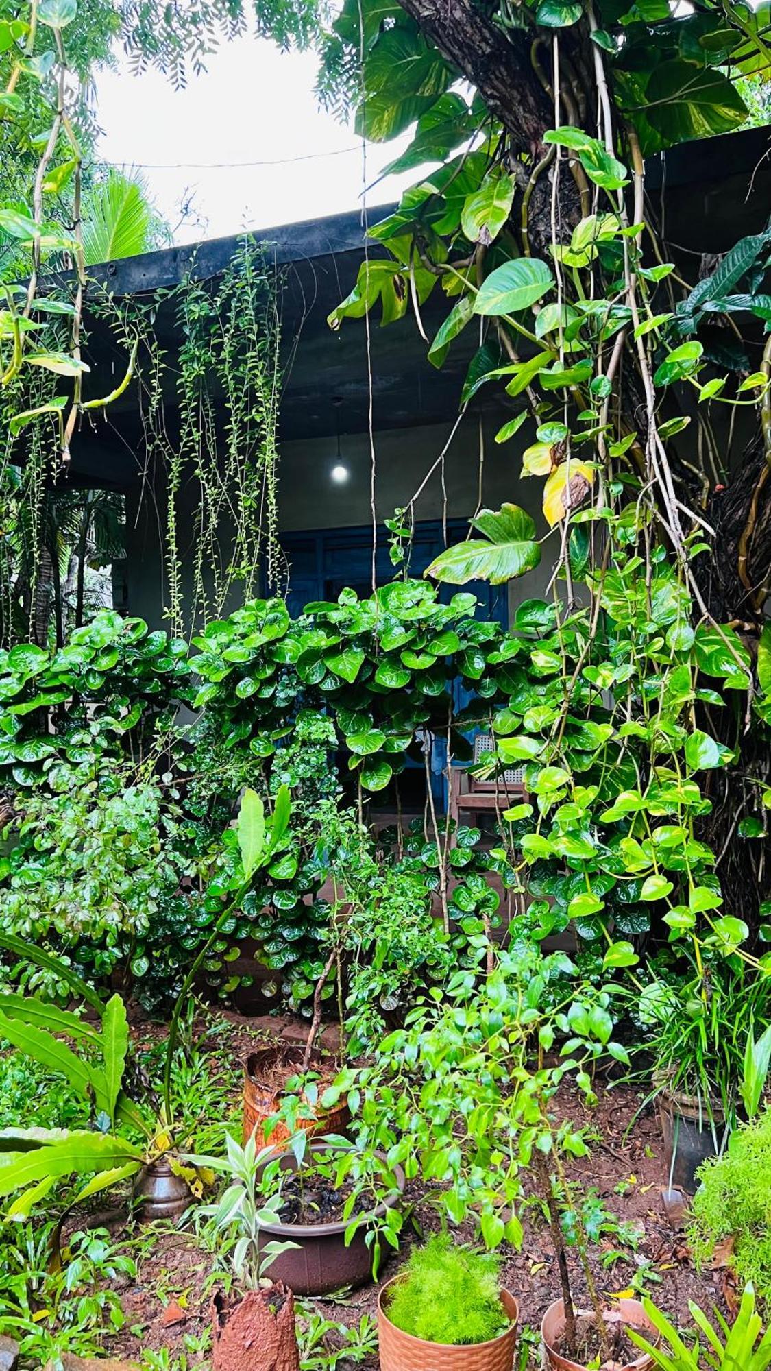 Kataragama Homestay Eksteriør billede