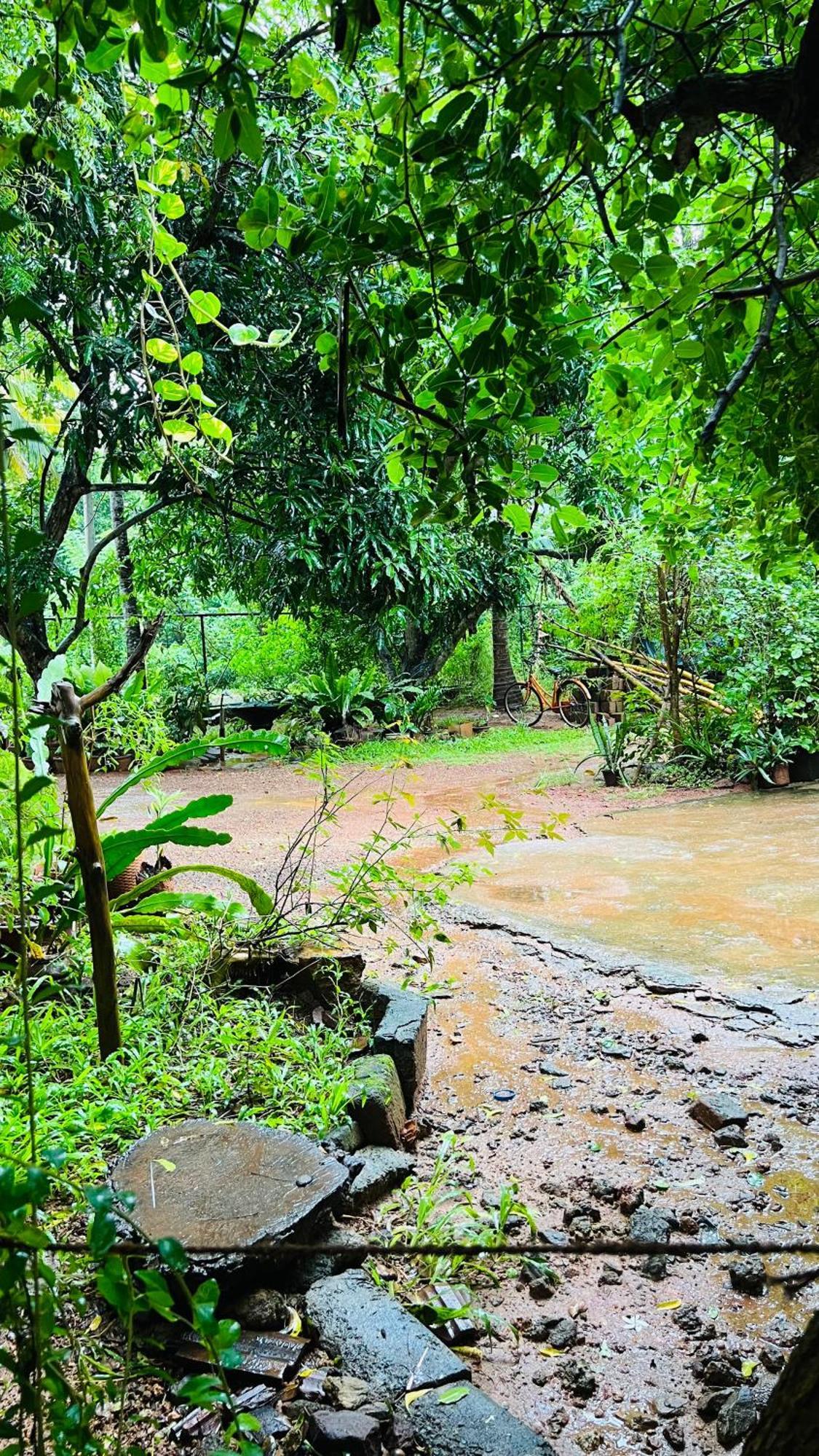 Kataragama Homestay Eksteriør billede