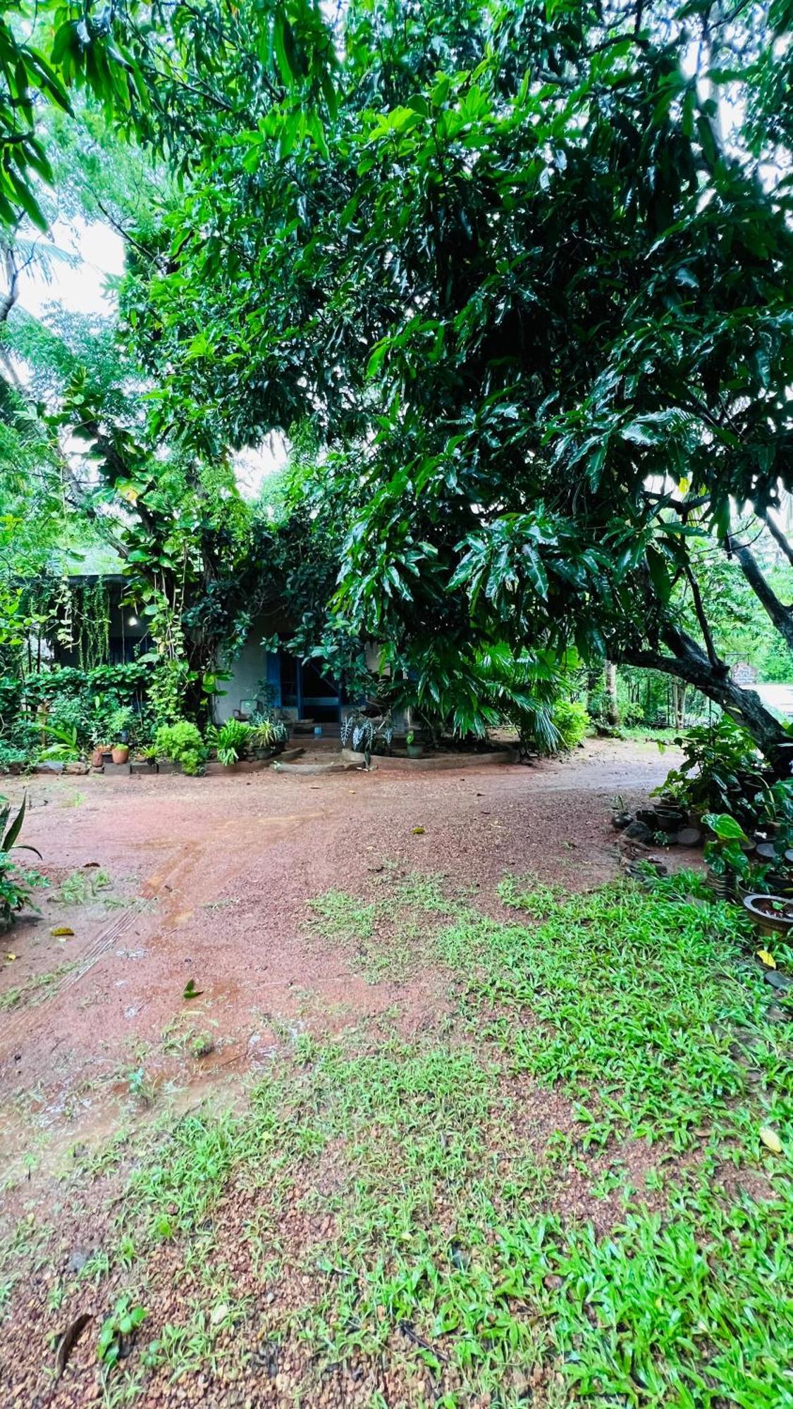 Kataragama Homestay Eksteriør billede