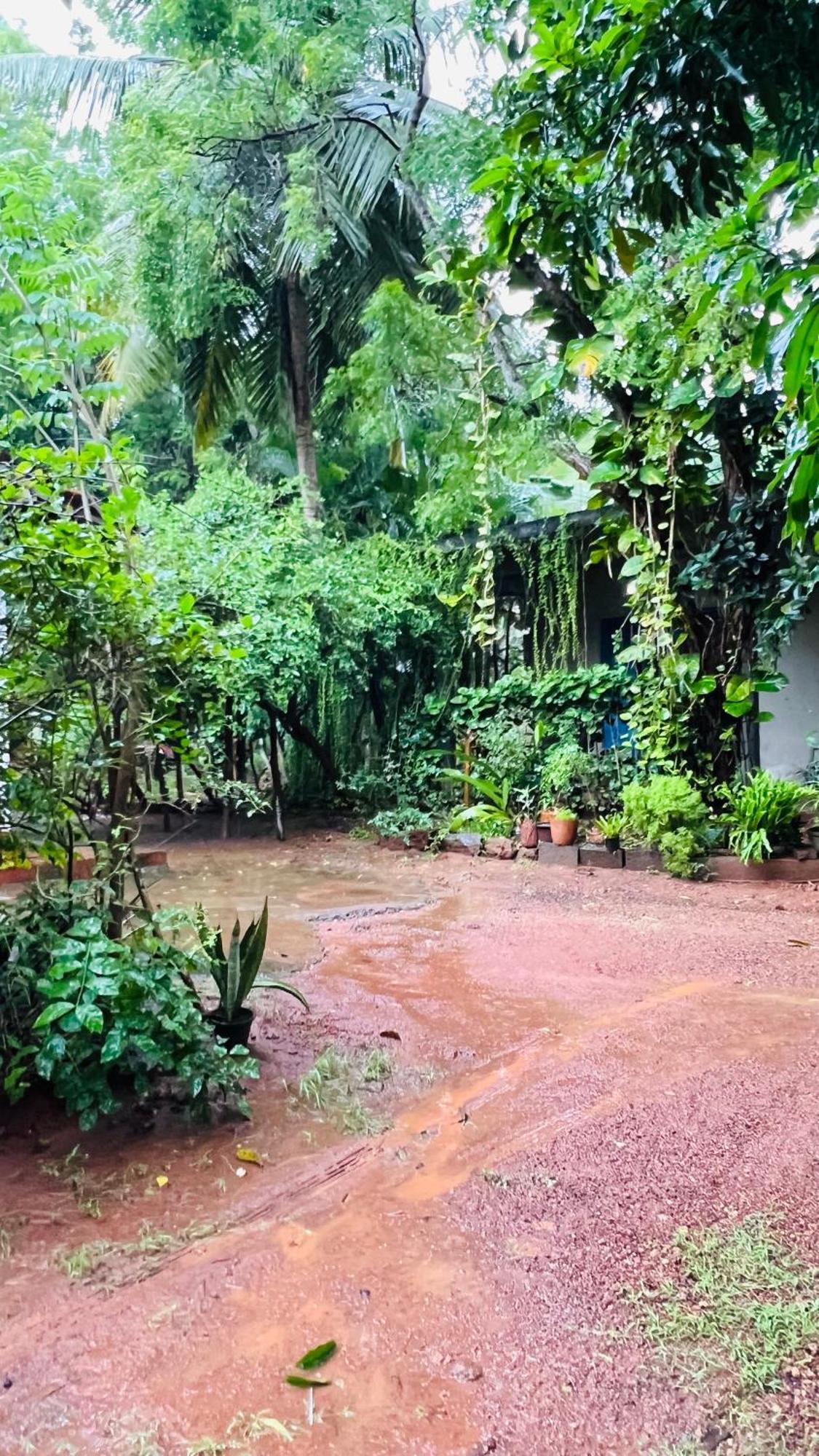 Kataragama Homestay Eksteriør billede