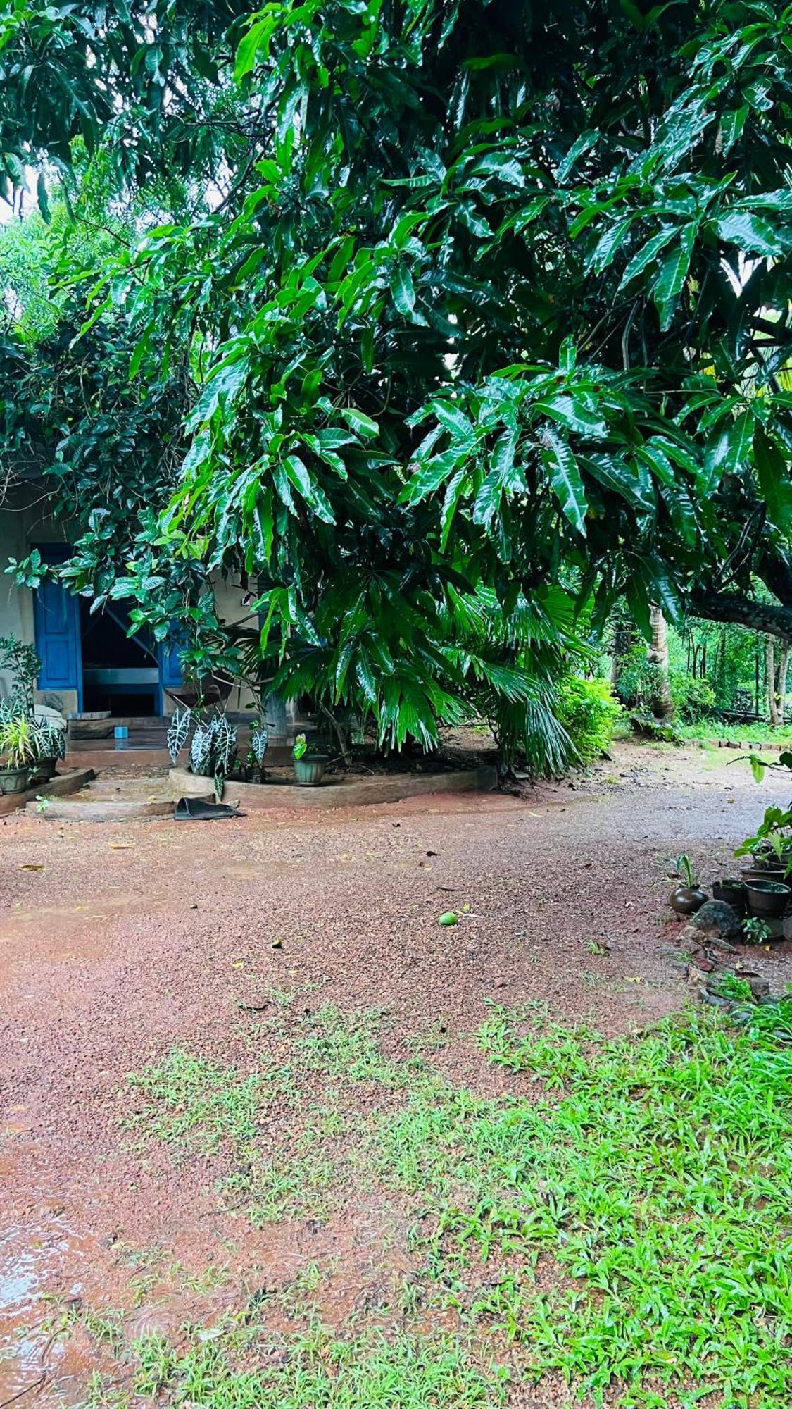 Kataragama Homestay Eksteriør billede