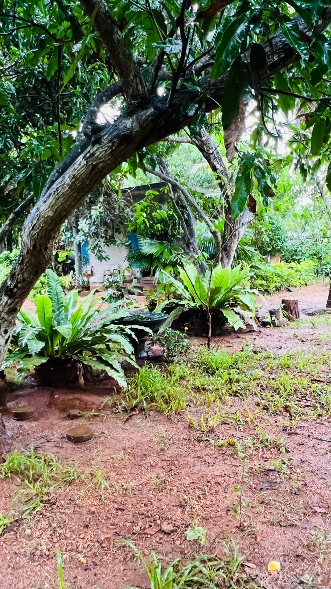 Kataragama Homestay Eksteriør billede