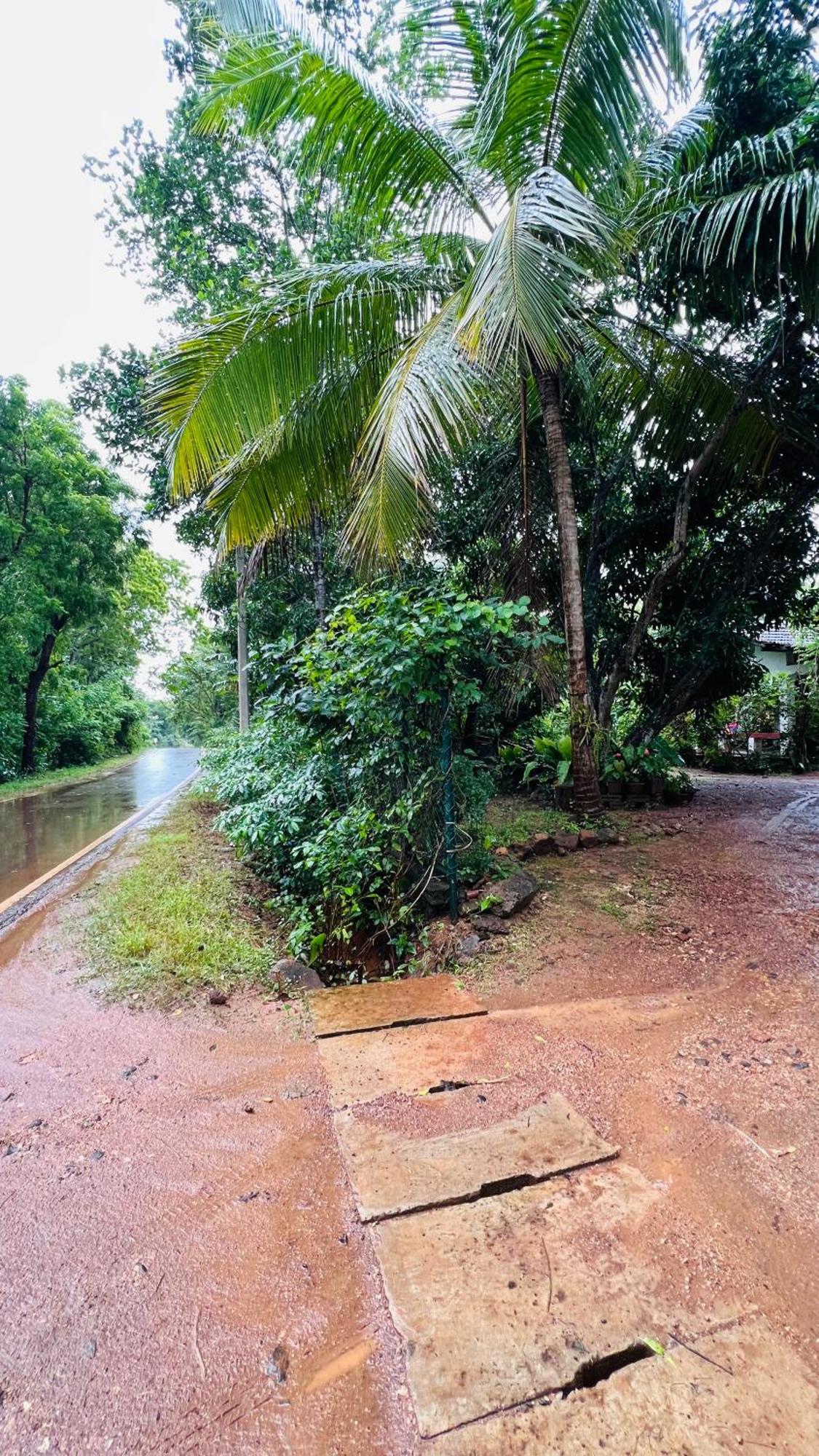 Kataragama Homestay Eksteriør billede