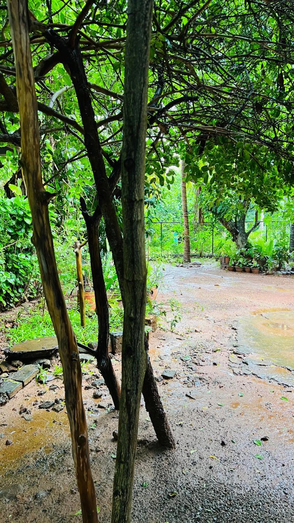 Kataragama Homestay Eksteriør billede